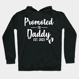 father est upcoming year after 2024 Promoted To father Hoodie